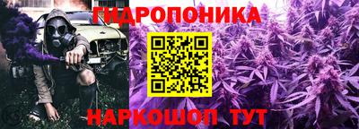 индика Гусиноозёрск