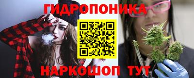 крисы Гулькевичи