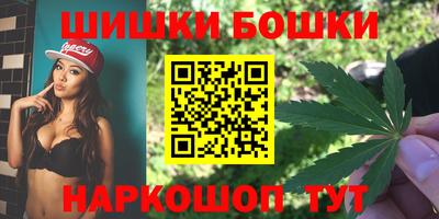 индика Гусиноозёрск