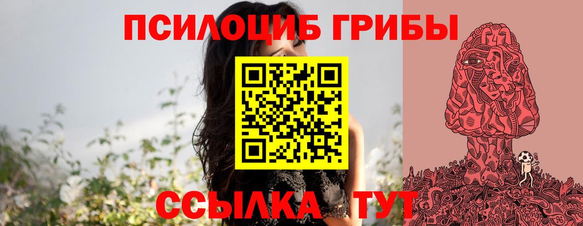 Зима  Галлюциногенные грибы прущие грибы  магазин  наркотиков  Вход с VPN 